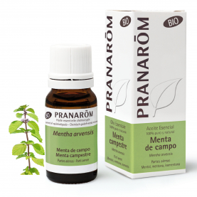 Menta campestre - 10 ml | Pranarôm