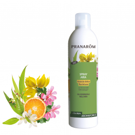 Spray aria - 400 ml | Pranarôm