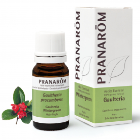 Wintergreen - 10 ml | Pranarôm