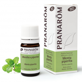 Menta piperita - 5 ml | Pranarôm