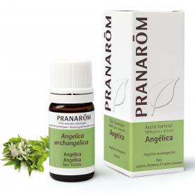 Angelica - 5 ml | Pranarôm